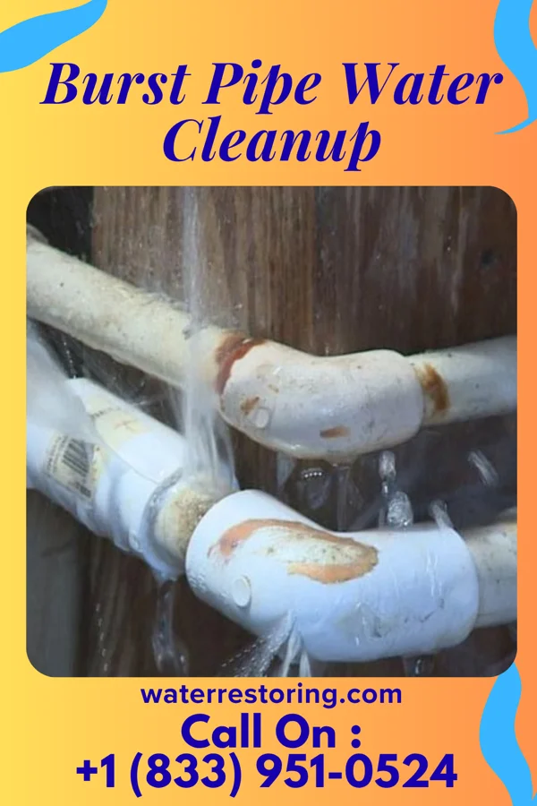 Burst Pipe Water Cleanup in McKenney, VA