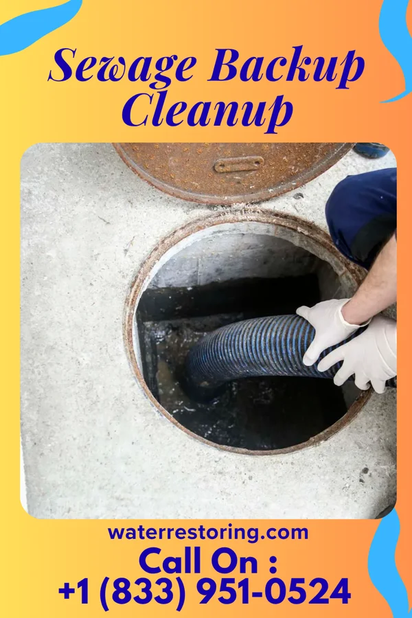 Sewage Backup Cleanup in McKenney, VA