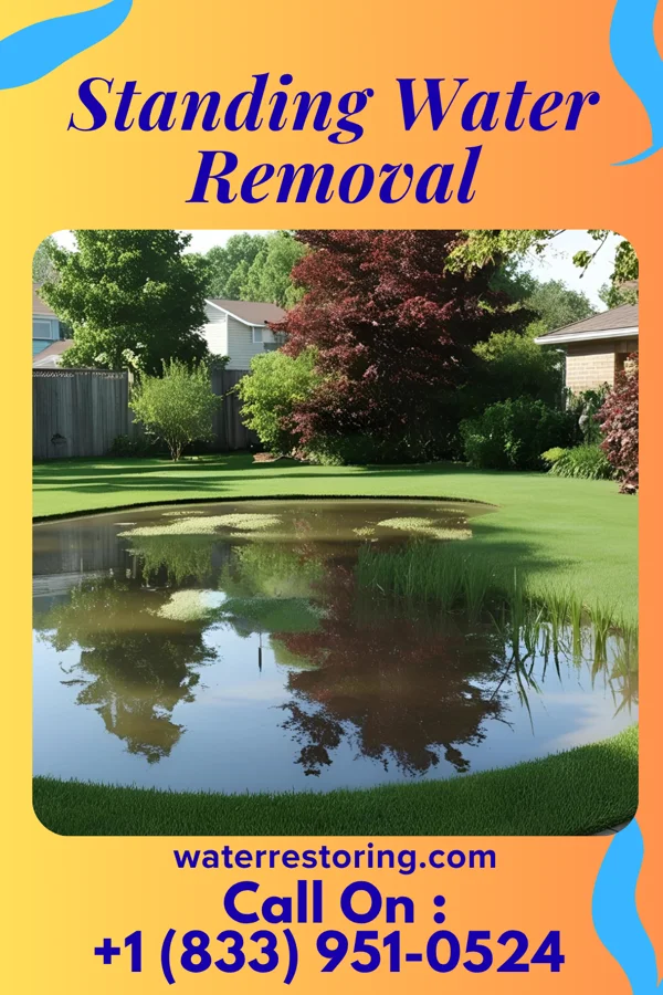 Standing Water Removal in McKenney, VA